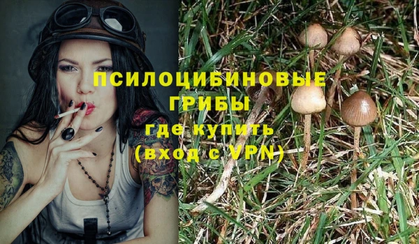 соль ск Корсаков